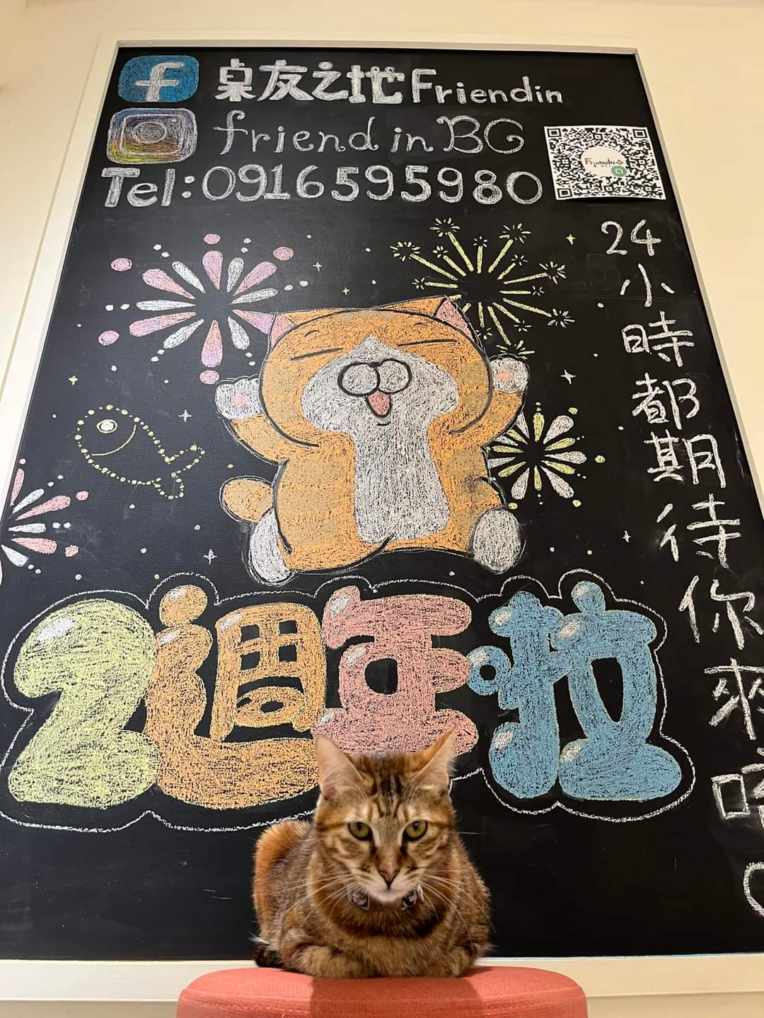 港知港覺
