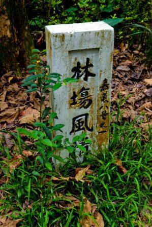 嘉義樹木園--國家植物園方舟計畫場域