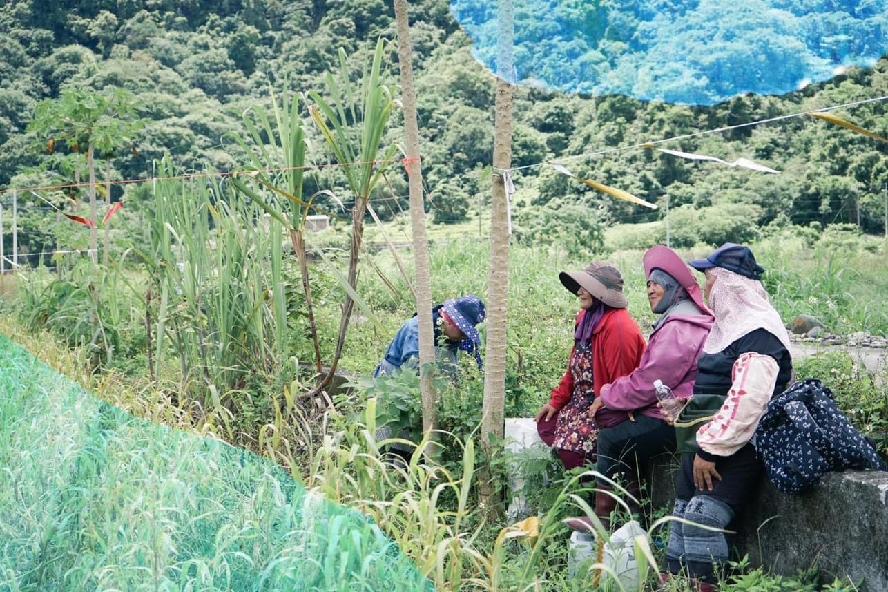 「走進彼桑拉返－布農里山」 探索布農菜園的生活智慧