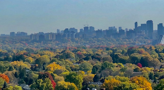 天涼好個秋，睡覺好時節
