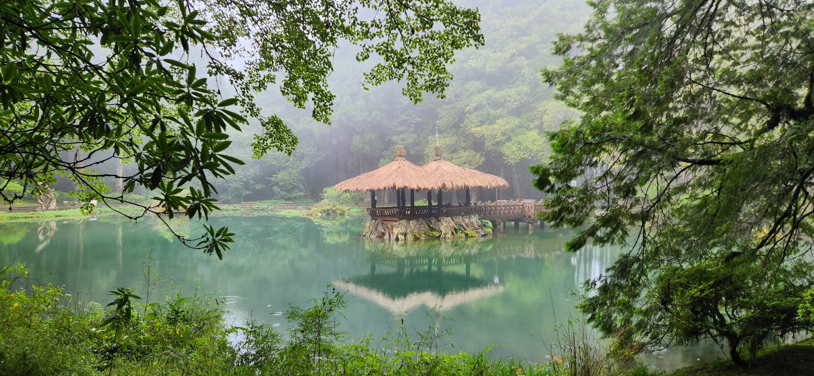 阿里山國家森林遊樂區秋冬好星情
