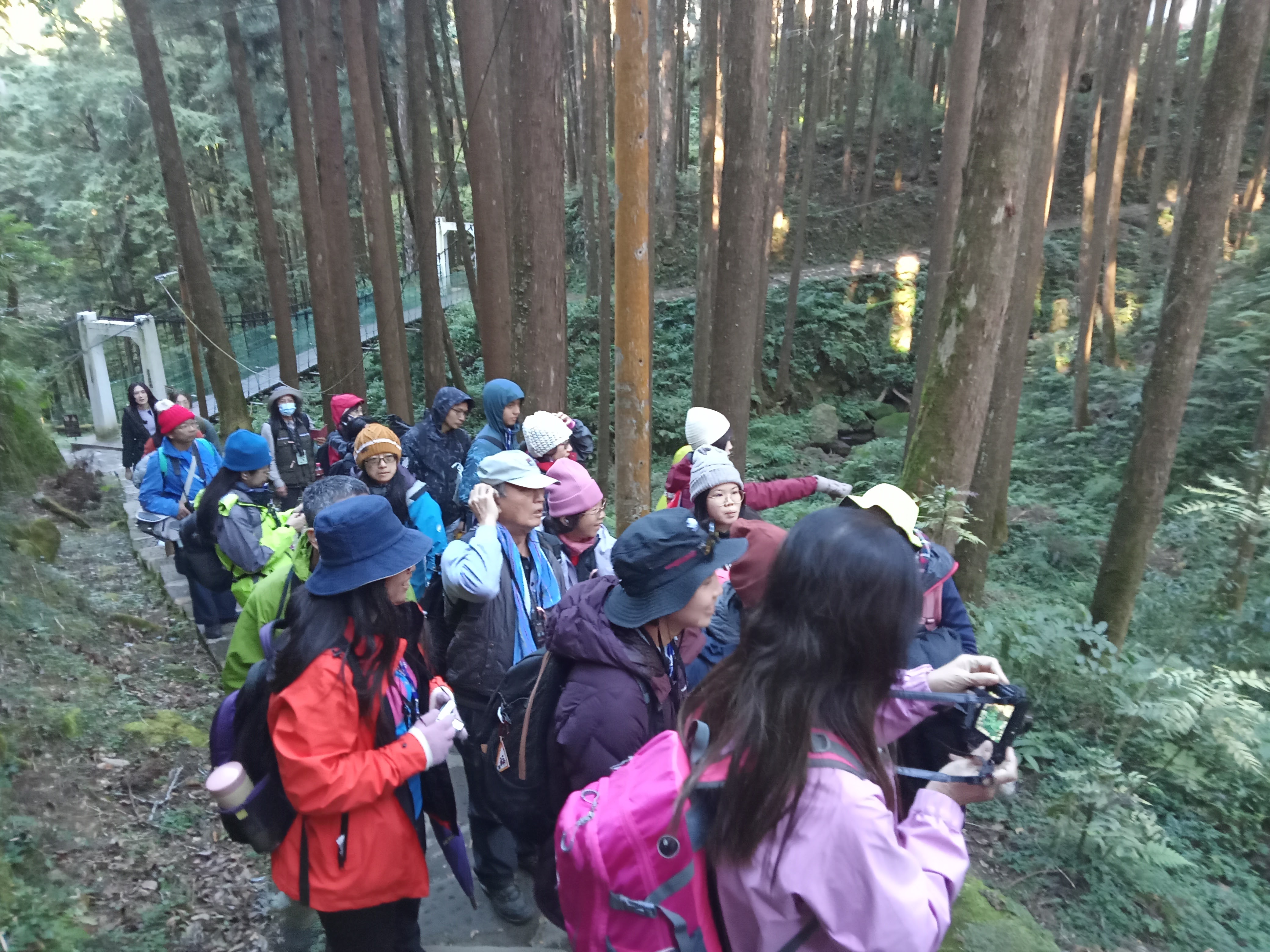 阿里山國家森林遊樂區秋冬好星情