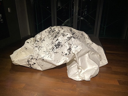 小臺灣大日子