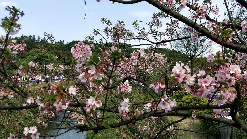 兩岸ING