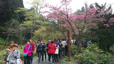 520新局(六)兩岸觀光 山雨欲來風滿樓