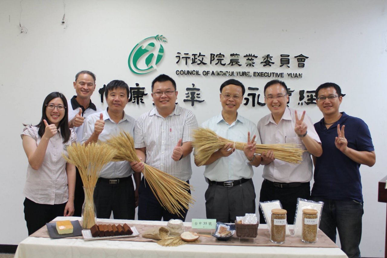 不再看國際臉色 台育成首支低筋小麥新品種