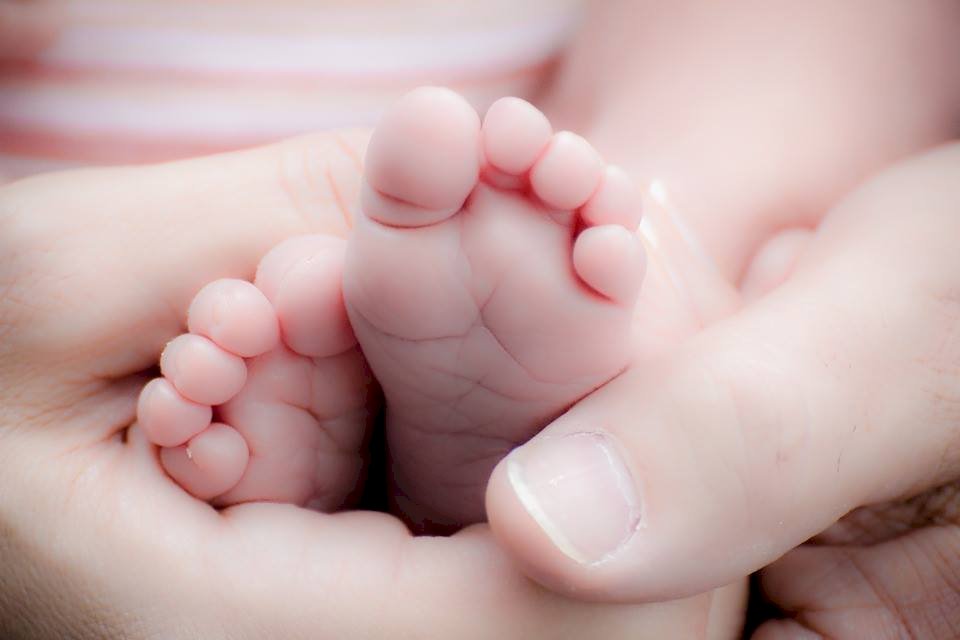 2022新生兒13.8萬再創新低 連3年出生少於死亡