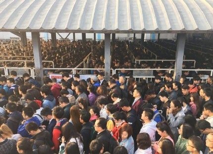 中共19大地鐵人物同檢 網民這樣應對