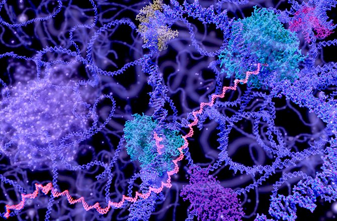 基因編輯大突破 分子機器有解先天疾病