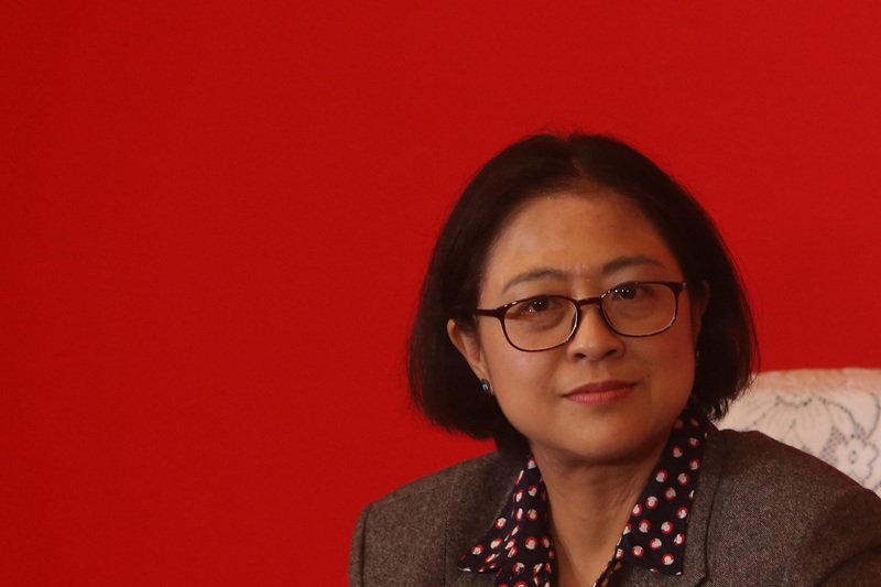 盧麗安任共黨代表 陸委會：返台探親沒問題