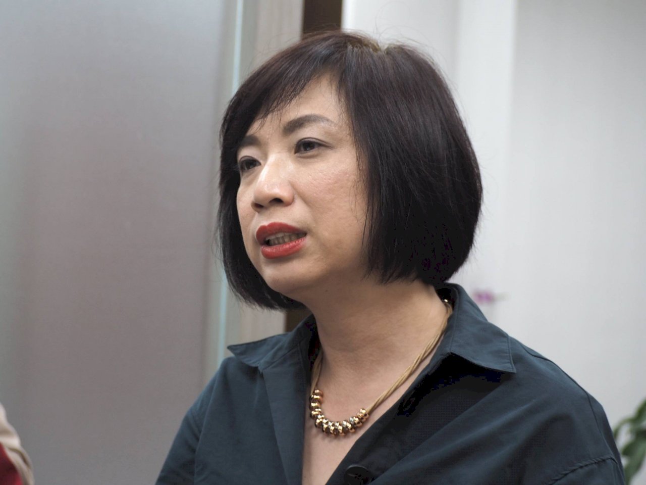 空污法修法 綠委：本會期恐來不及處理