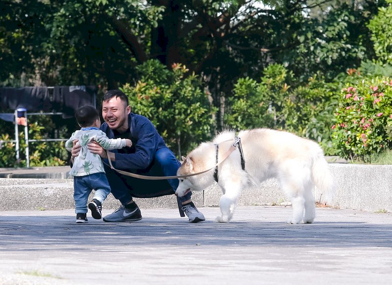 今高溫20度以上 留意今晚到明晨低溫
