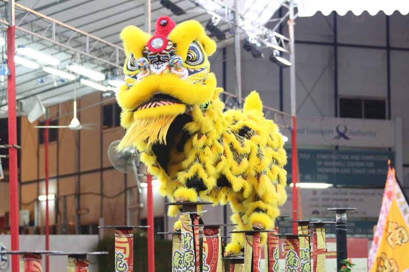 星國獅王爭霸賽 台灣獅手躍高樁拚冠