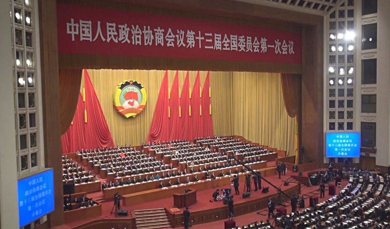 政協委員提案：立法懲治辱中國辱民族者