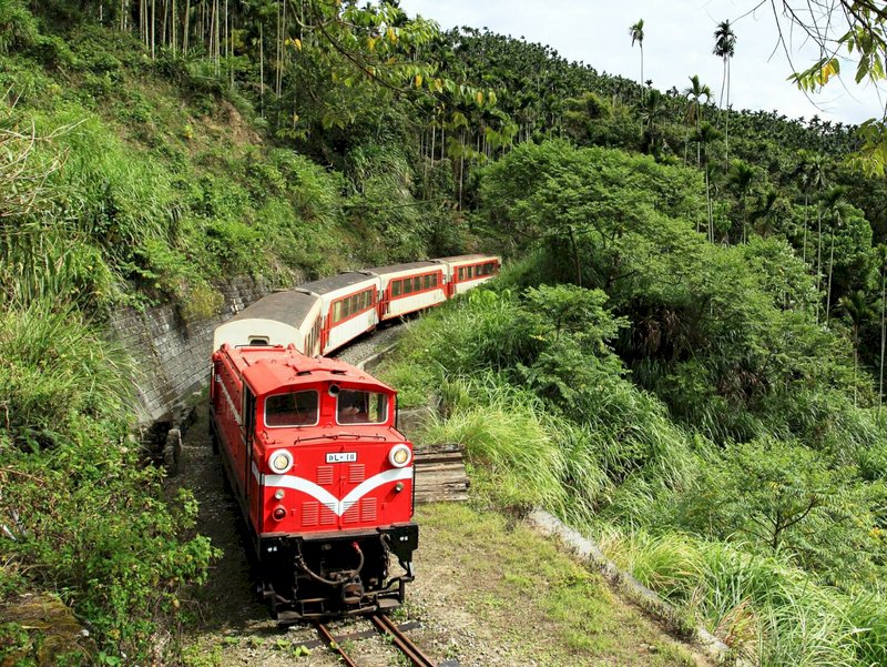 阿里山森林鐵路 本線續停駛三個月