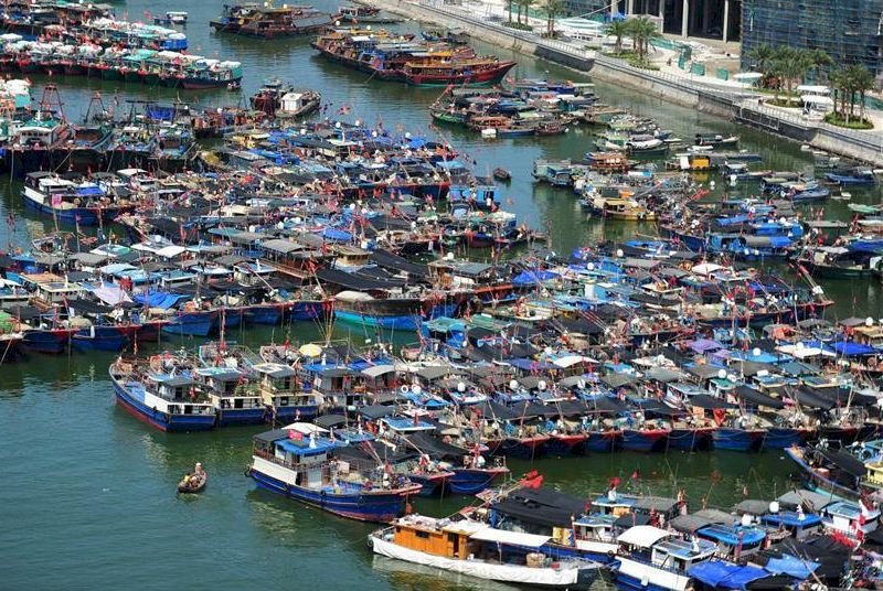 研究：過度捕撈致澳洲魚群數量大減
