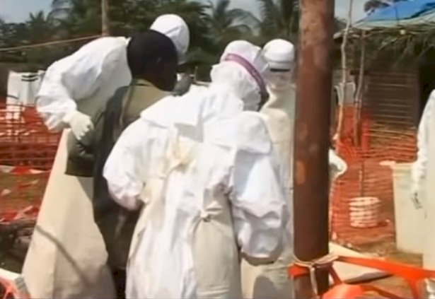 打不死的伊波拉又捲土重來！致命病毒為何這麼難應付？