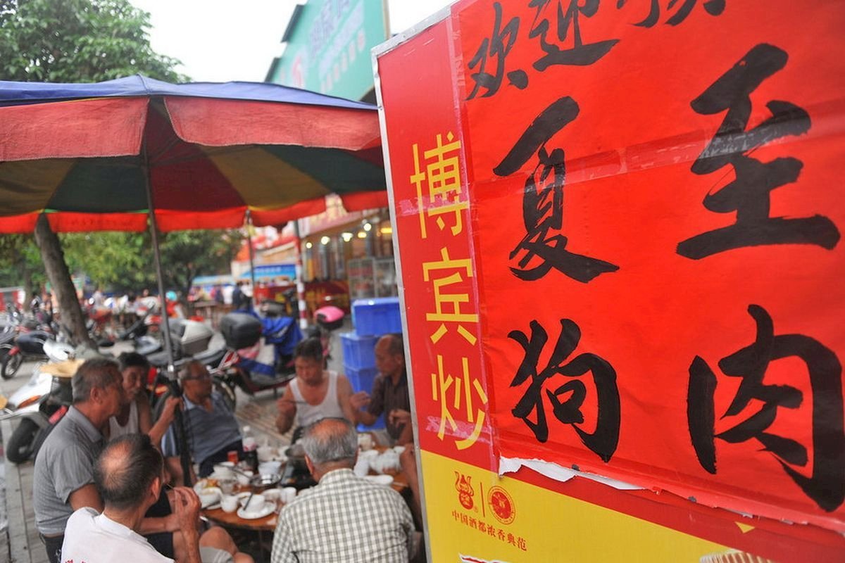 玉林狗肉節留惡名 愛狗請讓牠好狗命