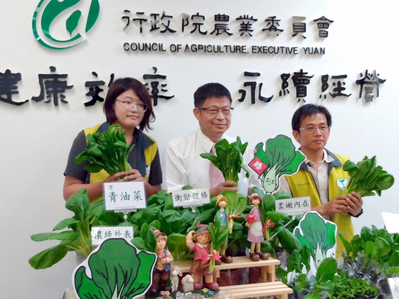 農改場10年功 台灣新品種「青油菜」誕生