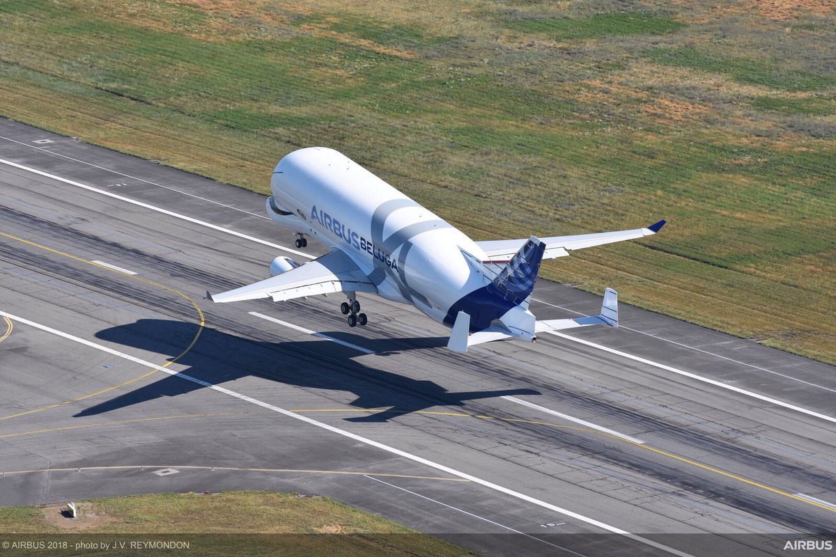 超級大白鯨飛上天 空巴新款貨機超吸睛