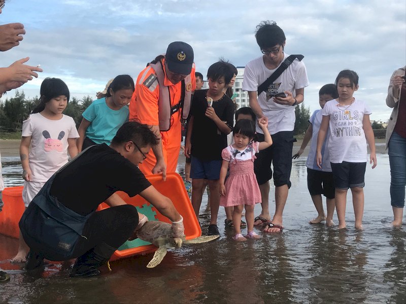 收容海龜糞便都有人造垃圾 消化障礙易致死