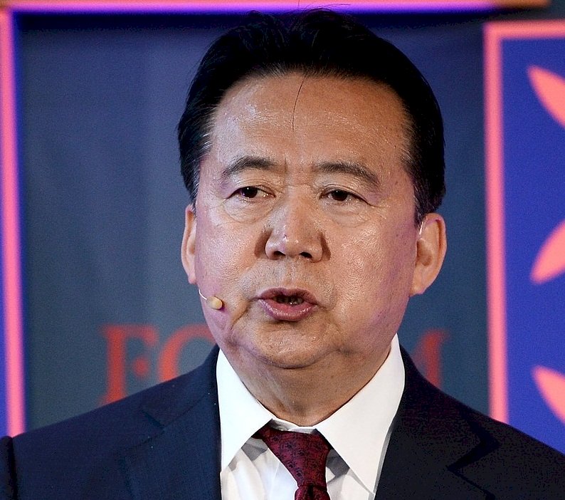 中國名人高官相繼被失蹤 法媒探討手段遭遇