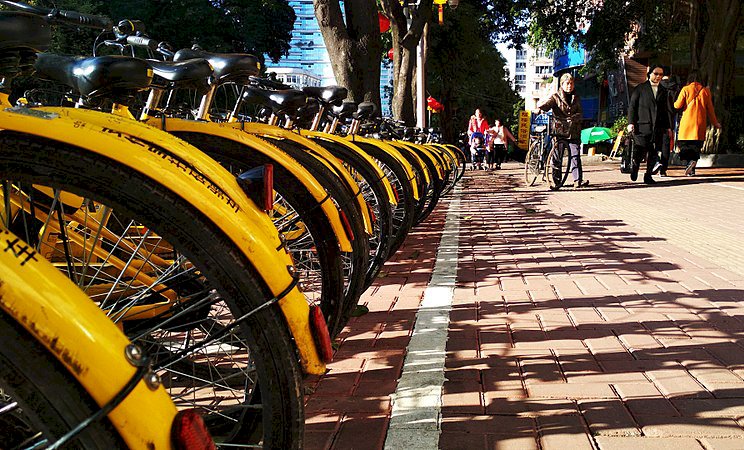 共享單車泡沫化 ofo員工搬離北京總部