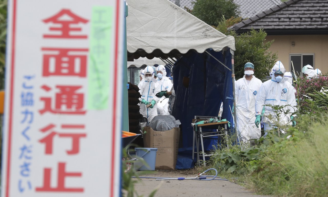 日本豬瘟疫情擴大 暫不考慮施打疫苗