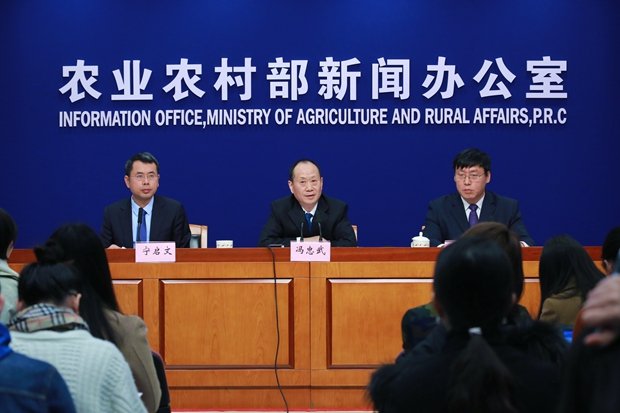 中國非洲豬瘟　官方：人車攜帶病毒是擴散主因