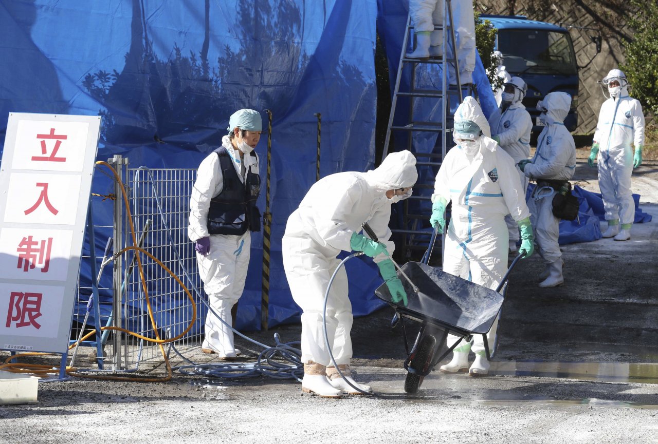 日本岐阜再爆第四例豬瘟 豬農人心惶惶