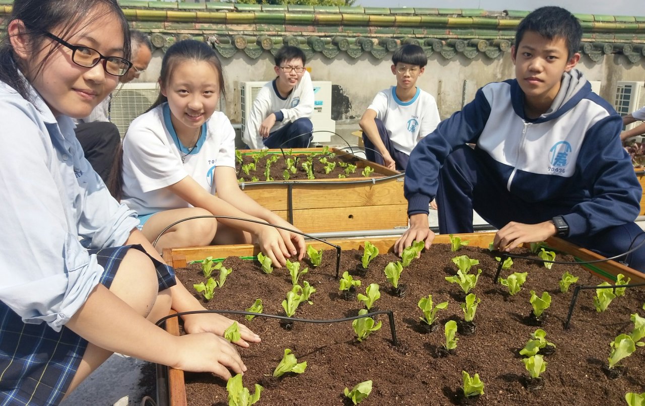 食農教育正夯 都會小農夫綠屋頂春耕