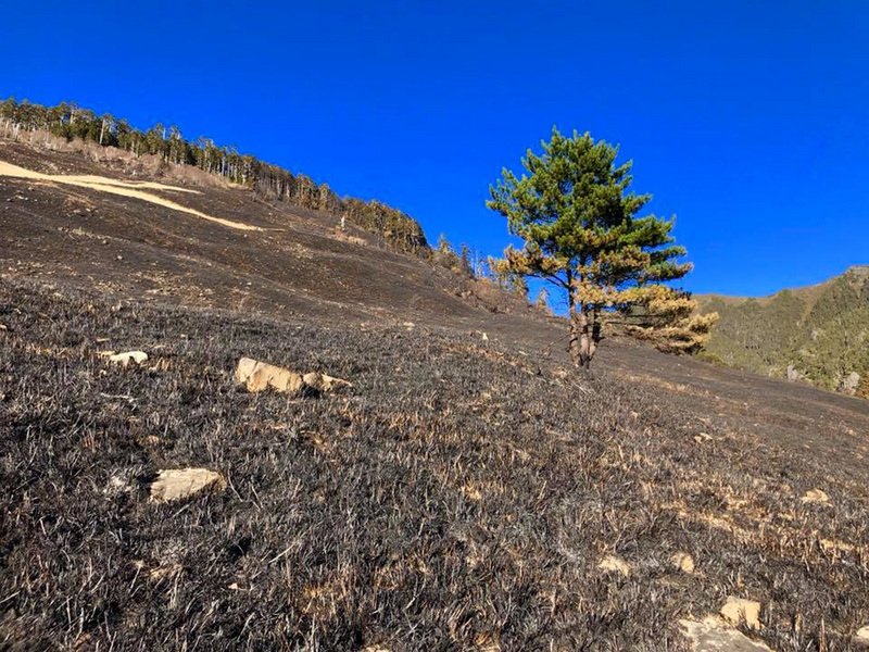 無痕山林？雪霸火燒山清出海量垃圾 徵志工揹下山