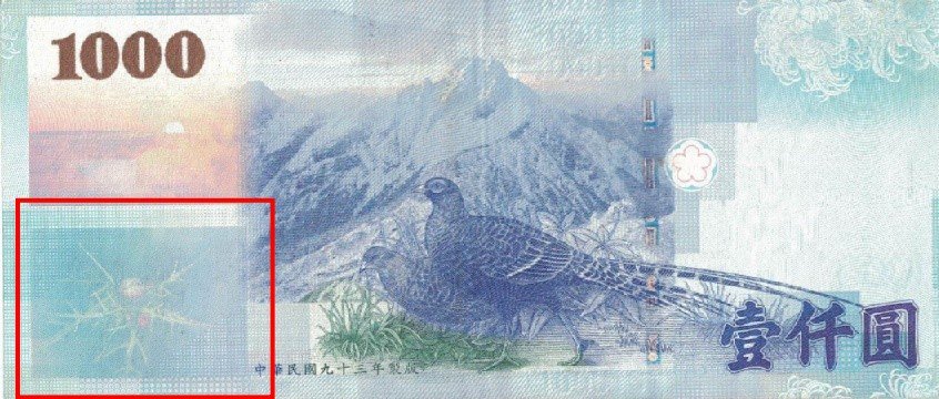 誤會了！千元大鈔上的植物不是它 興大揭新種