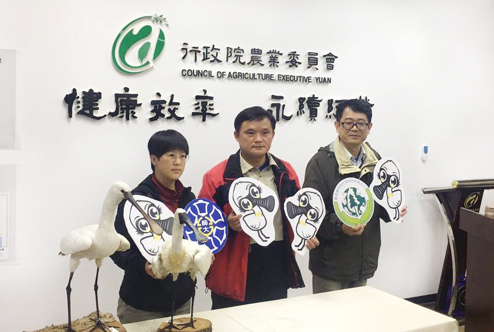 全球第一 台灣完成黑面琵鷺基因解碼