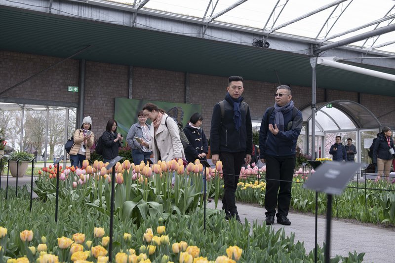 林智堅訪荷蘭  取經鬱金香公園拚觀光