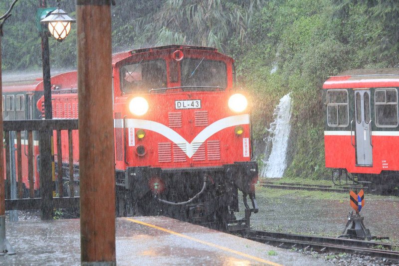 嘉義山區滂沱大雨 阿里山林鐵支線停駛