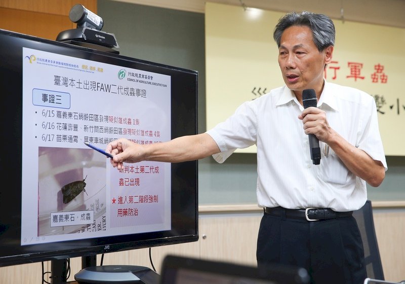 發現第二代成蟲 秋行軍蟲防疫明起強制噴藥