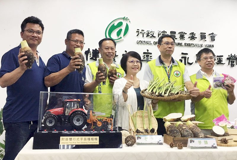 芋農免再彎腰 農委會首台芋苗種植機今亮相