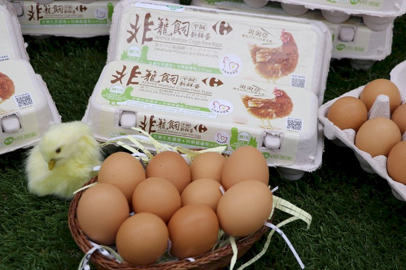 食安辦：擴大辦理雞蛋產品、食品添加物原料業者稽查