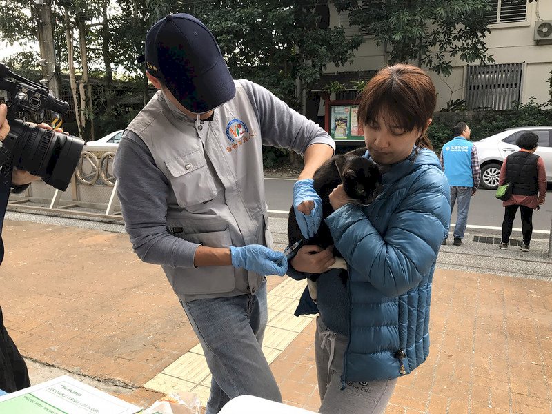 首例染狂犬病白鼻心 花蓮擴大施打疫苗