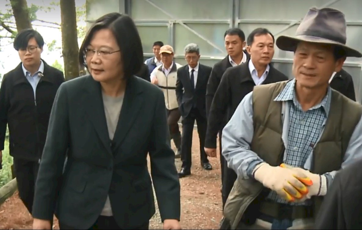 國際森林日 總統：防疫期間環境保育不停歇