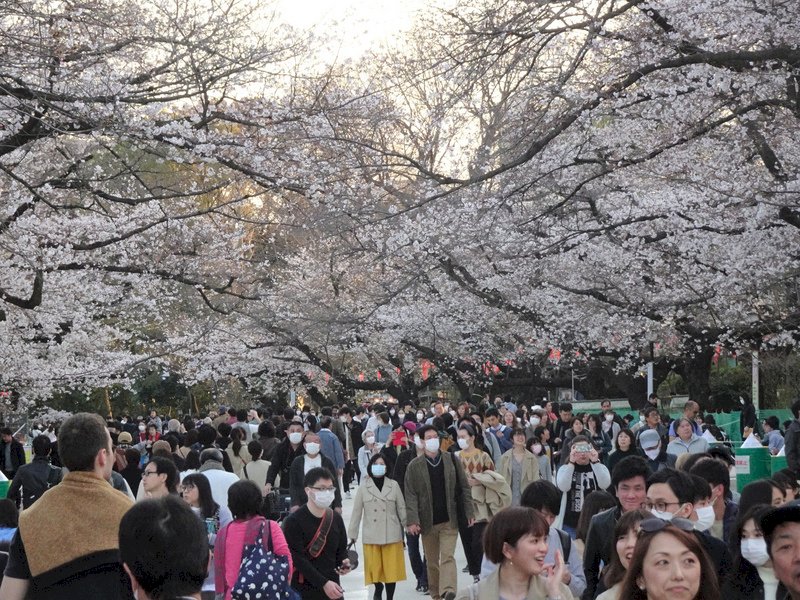 日本入境加嚴！ 陸網友：中國放開&nbsp; 國外關門