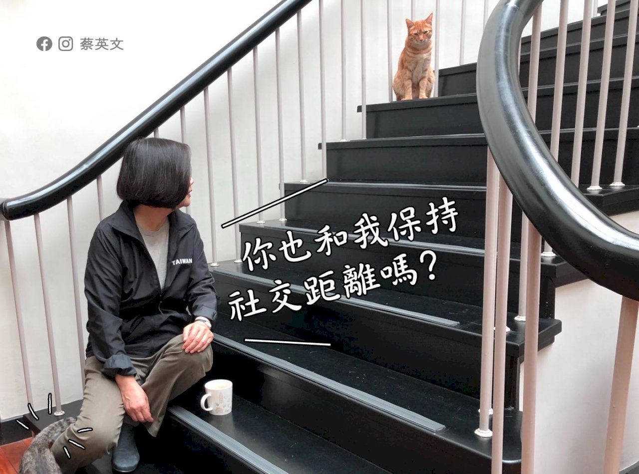 蔡總統曬貓提醒保持社交距離 摸完貓狗要洗手