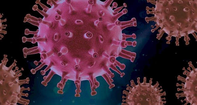 武漢肺炎擴散快減緩慢 世衛：比H1N1致命逾10倍