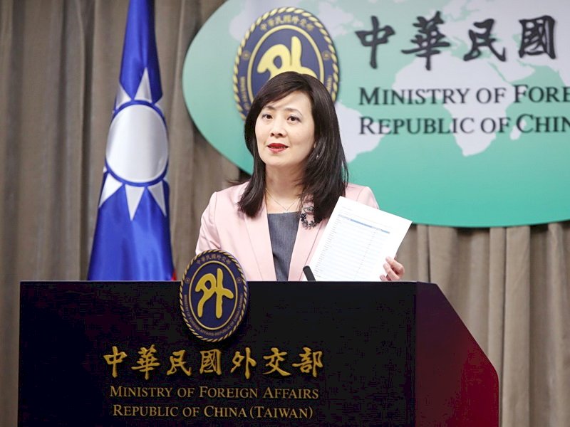 保育也得政治表態　外交部：捍衛NGO平等參與國際權利