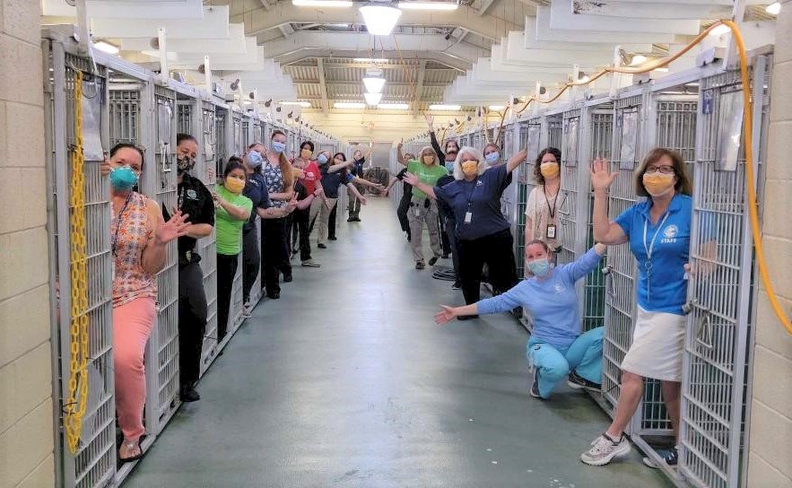 民眾受困疫情居家 美動物收容所領養反應熱烈