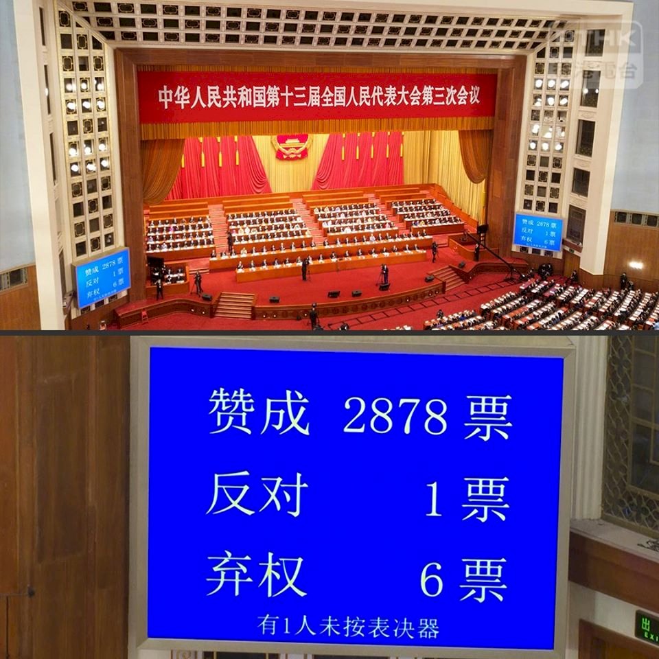 國安法通過 港人大難不遠 學者：台灣的道義與責任 朝野共撐香港