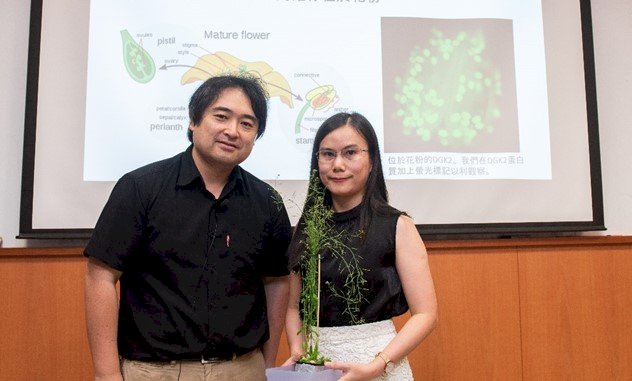中研院發現植物受孕關鍵 盼解決農產減量問題