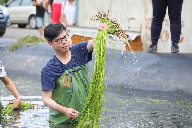 駁柯淘汰人選說 &nbsp;陳其邁：跌倒就再爬起