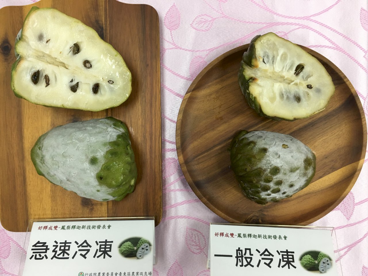 鳳梨釋迦全果冷凍新技術登場 外銷不再只集中於中國(影音)